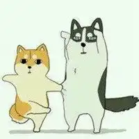  柴犬跟橘猫的情侣头像微信头像图片大全