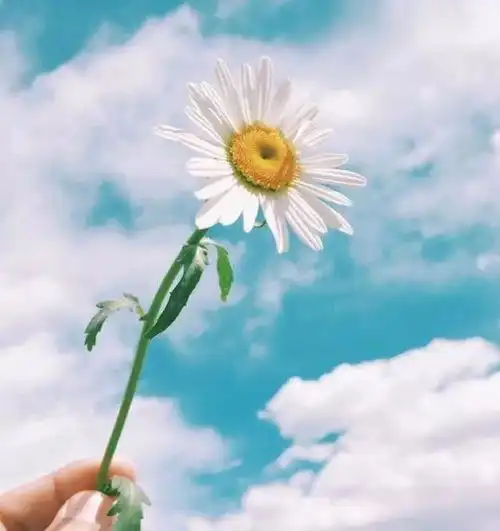  微信上很潮很精辟的心情说说,个性经典,读后很开心