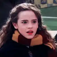  赫敏情侣头像哈利赫敏情侣头像一左一右