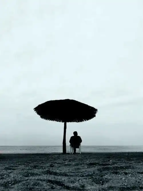  冠军作品有什么不一样这些作品你觉得如何