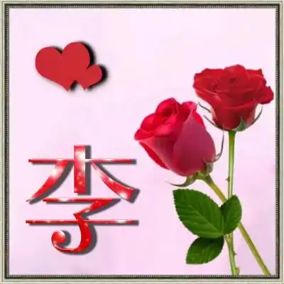  姓氏头像表白专用红色玫瑰花主题