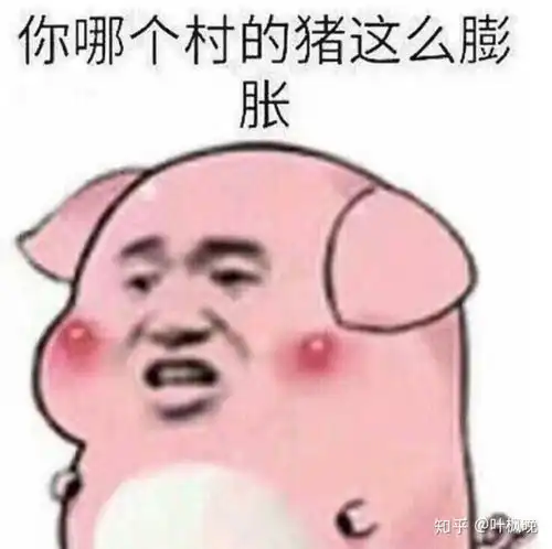  磊收藏夹