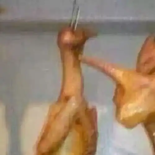  沙雕情侣名,够沙雕,我喜欢