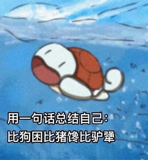 没有人能拒绝杰尼龟太可爱啦表情包合集