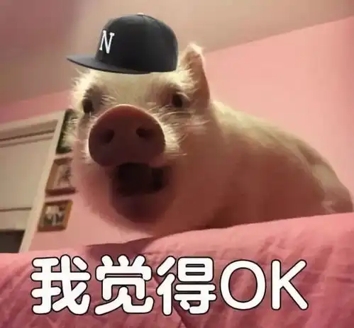 表情包营销,才是当今最skrskr的走红方式