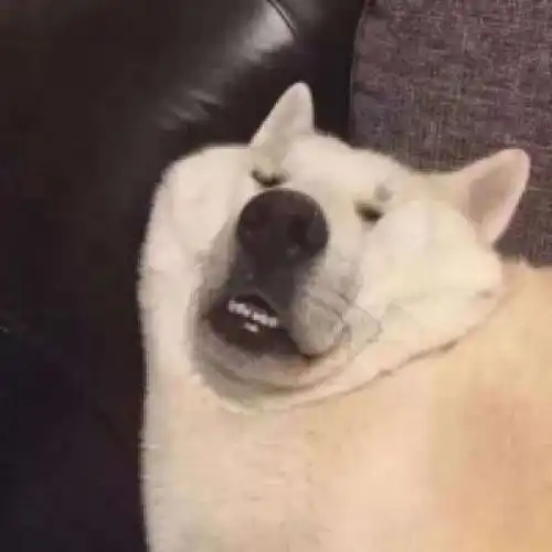  如何优雅而不失风度地怼人怼人须知怼人金句