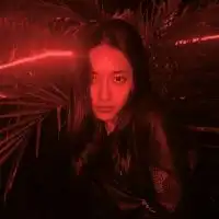  带有猫狗的情侣头像情话是我偷来的但我爱你是真的