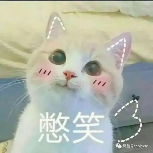  叮你有一份中秋留校指南待查收