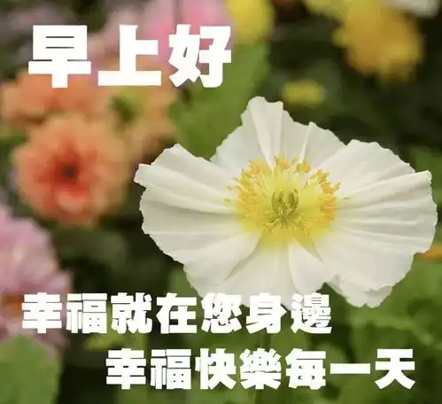  早上起床群发温馨早安问候语动态表情图片早上好很漂亮的带字祝福语图片