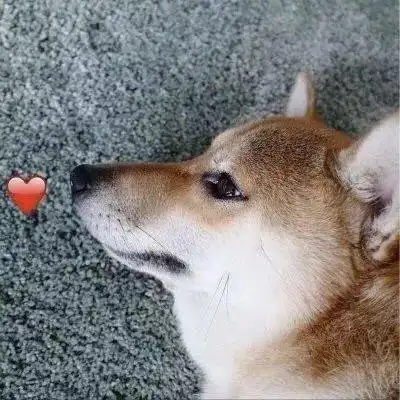  100张超好看的情侣头像甜甜甜到心窝进来拿图