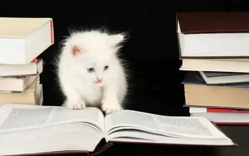  情侣一起养宠物,分手了怎么办