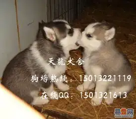 古镇六坊易登网