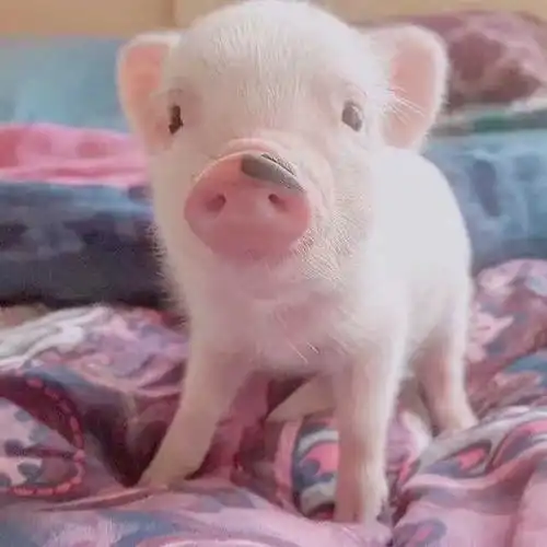  放轻松,解解闷,可以感慨可以笑