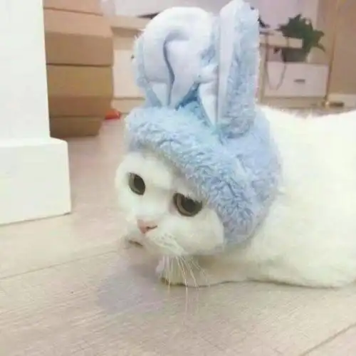  怎么发清楚点的照片我一发都是模糊的