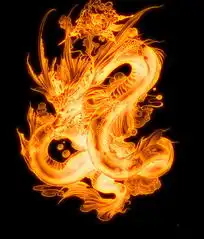  朱雀照片朱雀相册大全yy官方