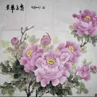  荷花花开富贵头像微信头像图片大全