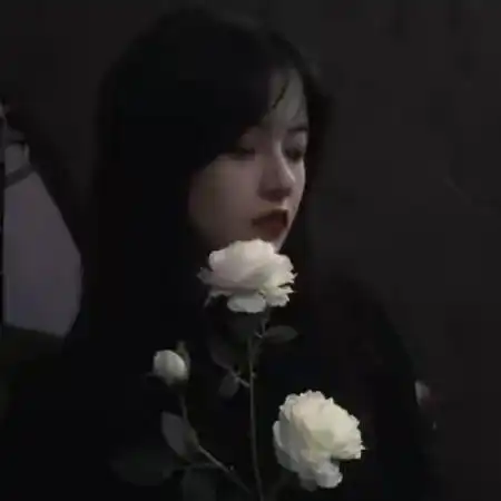  手拿白玫瑰头像手拿白玫瑰的女生头像图片