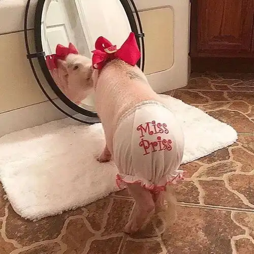  保存就有男朋友