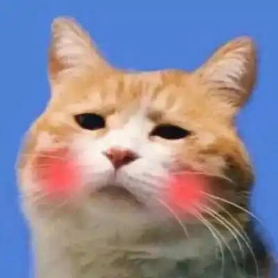 猫狗情侣头像一左一右可爱卖萌一猫一狗搞怪情侣头像