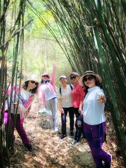  河边的凤尾竹游石龙江峡