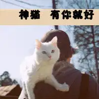 小孩才装大全眼睛图片微信头像图片大全