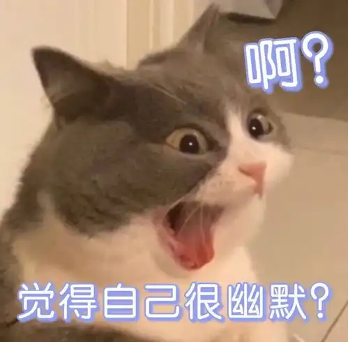  沙雕表情包l为师送你