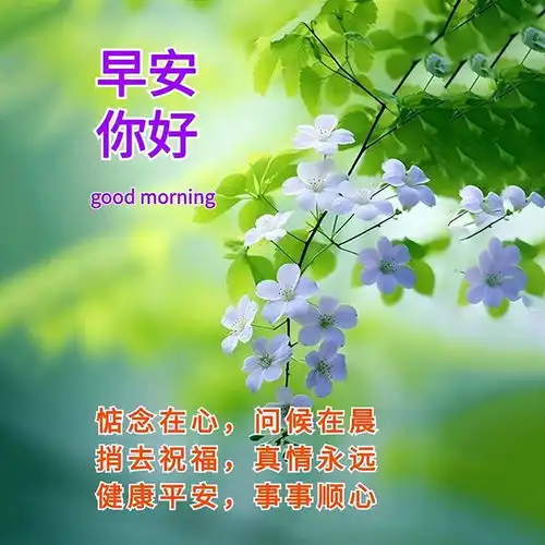  30张最新版早上好表情图片大全,幸福快乐,真情牵挂,珍惜永久早安思念大海钟声网易订阅