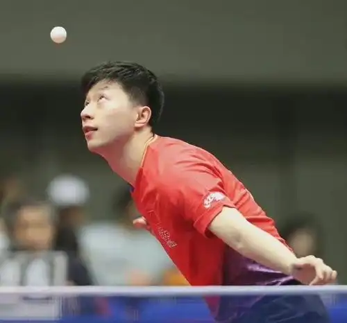  新赛程公布大满贯赛男单16强出炉了马龙张本智和争决赛权