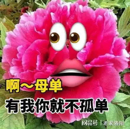  微博还挺体贴的,七夕牡丹也有emoji了