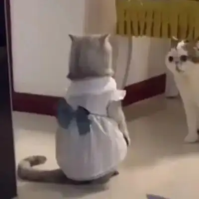  情侣头像一对两张l你们这种人城府太深了,不能深交