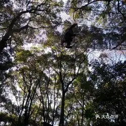  电话,地址,价格,营业时间重庆周边游