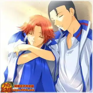  网球王子cp大盘点