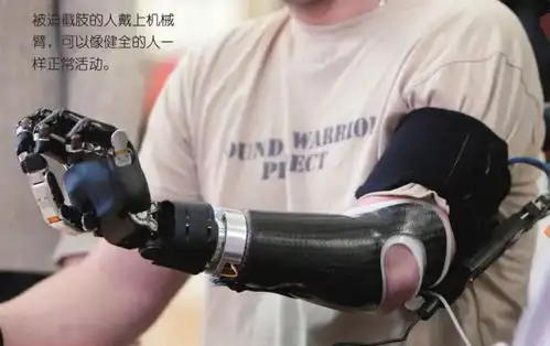  人类与机器的未来会是哪一种