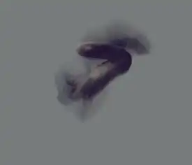  美国inutero动感模糊男性人像摄影