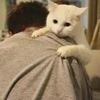  搞笑卡通情侣头像下载微信头像图片大全