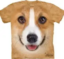  黄页88高清图片