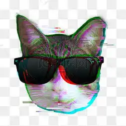  酷酷的猫图片酷酷的猫图片素材免费下载千库网