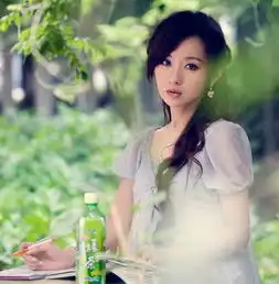  曾经美丽如烟花般绽放的情感,如流星般划破青春的天际