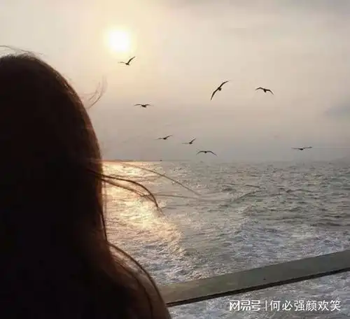  讲究效率的时代,爱情是否真的要那么着急