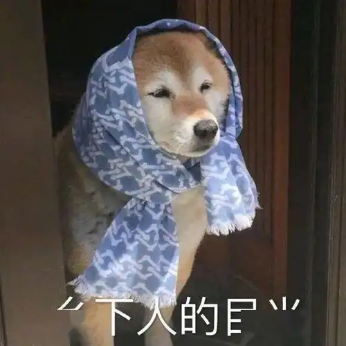  沙雕表情包