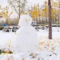  唯美雪景头像高清微信头像图片大全
