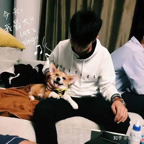  给你的柯基拍过最棒的图片是哪一张