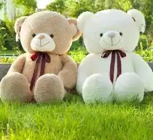  黄页88高清图片