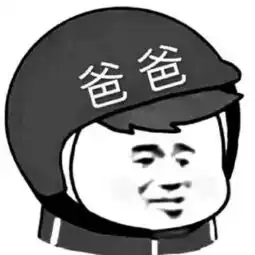  最近很火的头盔表情合集