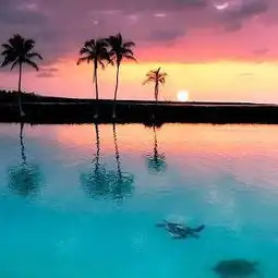  50岁男人微信风景头像