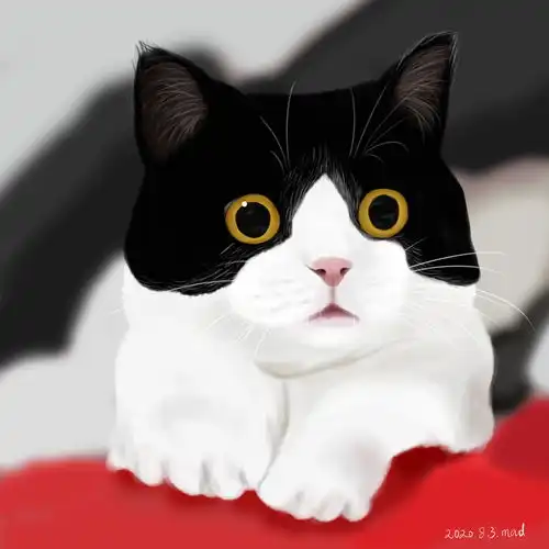  淘宝蒙啊朵的店宠物头像定制狗狗猫咪画像转diy写实手绘插画肖像装饰画动物卡通狗狗画狗画猫汪星人喵星人猫咪可爱宠物萌宠铲屎官猫粮狗粮哈士奇拉布拉多金毛泰迪柯基雪纳瑞边牧秋田柴犬博美阿拉斯加吸猫布偶猫幼猫英短蓝猫田园猫奶牛猫缅因无毛猫宠物插画狗狗猫咪