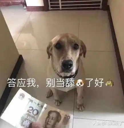  rng粉丝追求女孩惨遭嫌弃,只因他是皇族的粉丝