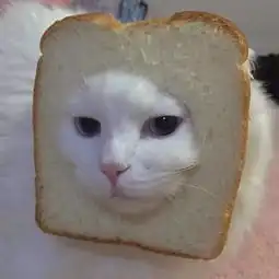  情侣头像谁说世界上没有童话,你就是啊