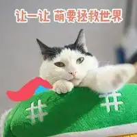  瓜皮和萌萌的情侣头像卡通微信头像图片大全