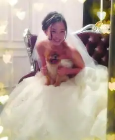  张翰郑爽赵丽颖陈晓刘诗诗吴奇隆明星情侣恋情